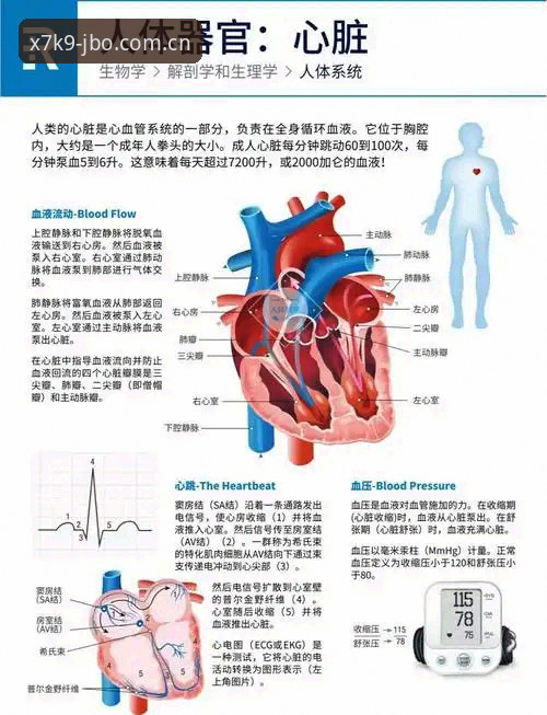 JBO赛事情报 7大核心功能解析:JBO赛事情报如何重塑体育竞猜体验